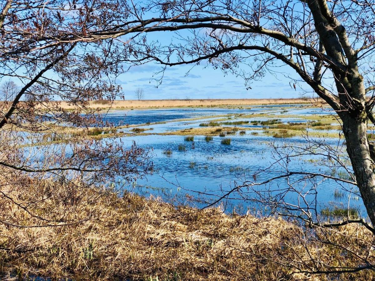 Domki I Apartamenty Caloroczne Koliber Владыславово Экстерьер фото
